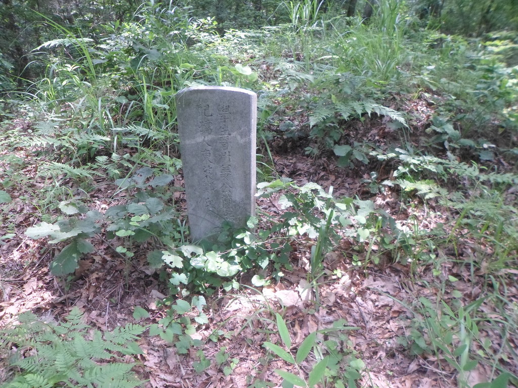 함박산주유소 이미지