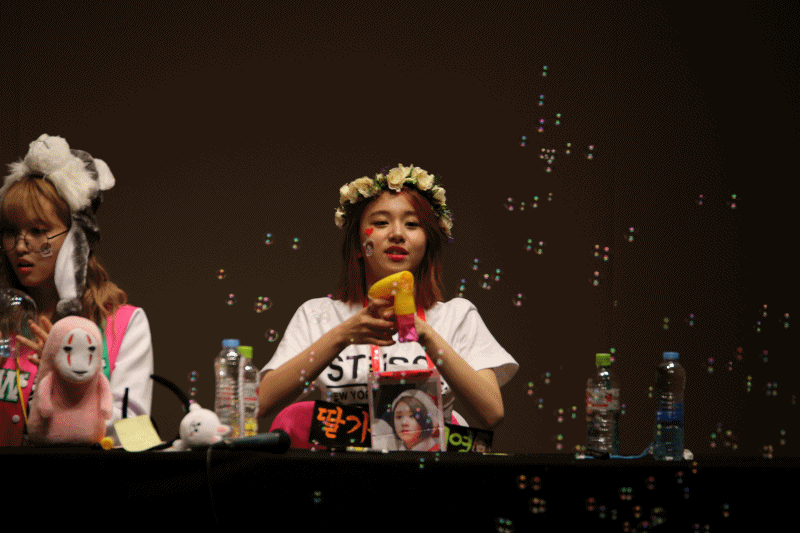 [트와이스] 아기맹수 채영이 짤 모음.gif | 인스티즈