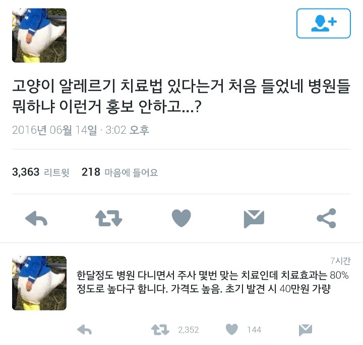 고양이 알레르기 치료법 있다는 거 알고 있는 사람.twt | 인스티즈