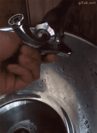 고정관념 .GIF | 인스티즈