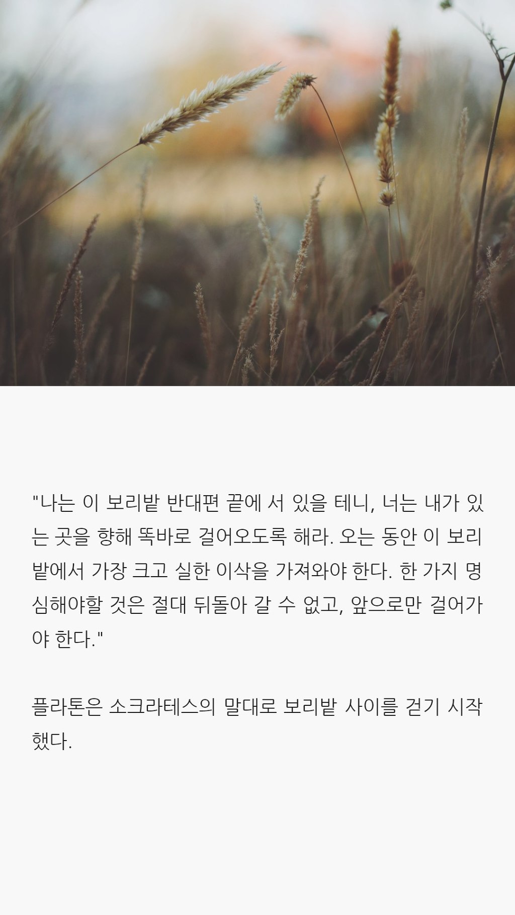  사랑에 대해 모르는 당신이 읽으면 좋은 글 | 인스티즈