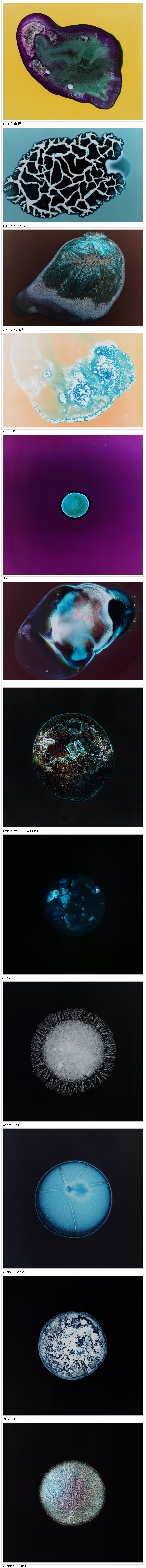 현미경으로 본 마약 | 인스티즈
