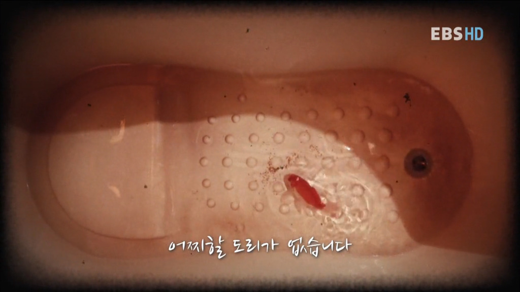 자본주의 속 우리의 현실 상황... 공감되서 소름 돋네요.. | 인스티즈