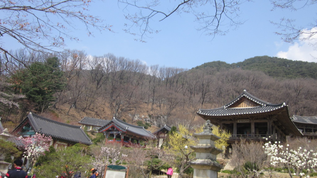 청시 이미지