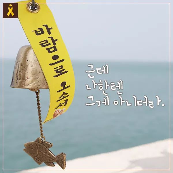 세월호 참사로 여자친구 잃은 남학생이 쓴 편지 | 인스티즈