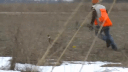 오버워치 트겐위한 희망과 절망 | 인스티즈