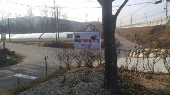 보리왓 이미지