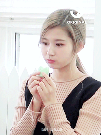 닮은 동물이 많은 미나토자키 사나.gif | 인스티즈