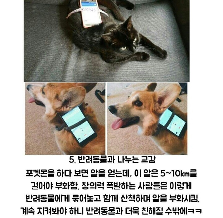 포켓몬go 가 만든 나비효과 | 인스티즈