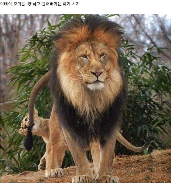 혼나는 아빠 | 인스티즈