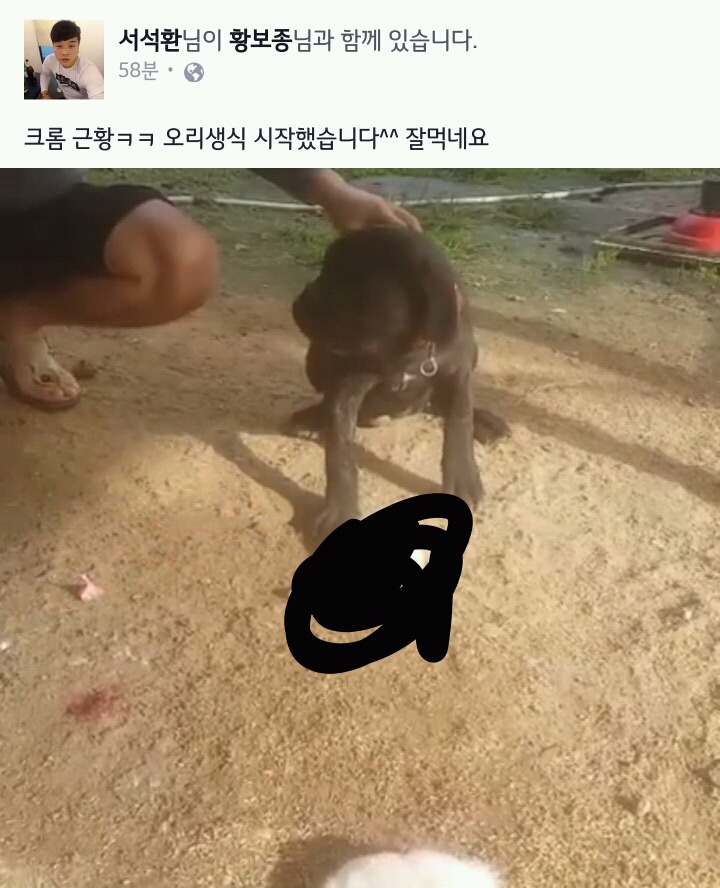 강아지한테 살아있는 오리 억지로 생식시키는 미(혐오주의) | 인스티즈