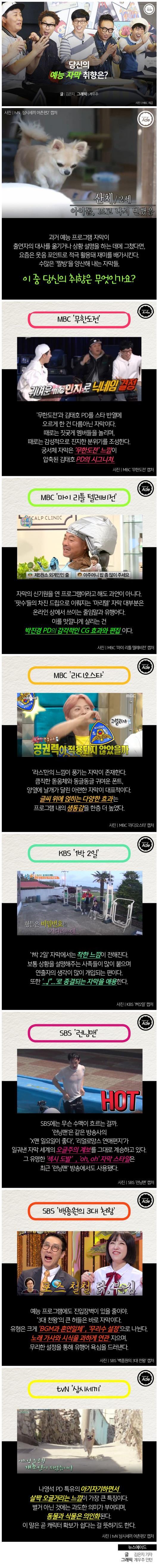 당신의 예능 자막 취향은?.jpg | 인스티즈