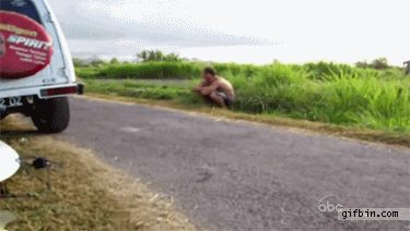 광란의 오리떼들 | 인스티즈