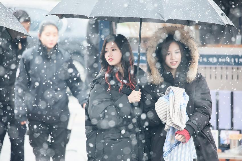 [트와이스] 첫눈속에 피는 사나 | 인스티즈