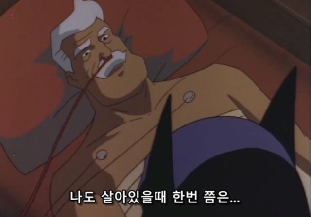  범죄가 끊이지 않는 도시에 꼭 필요한 존재 | 인스티즈