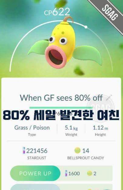 포켓몬고 작명센스 | 인스티즈