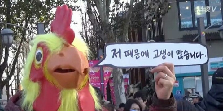 금지한 복면시위 하는 사람들 | 인스티즈