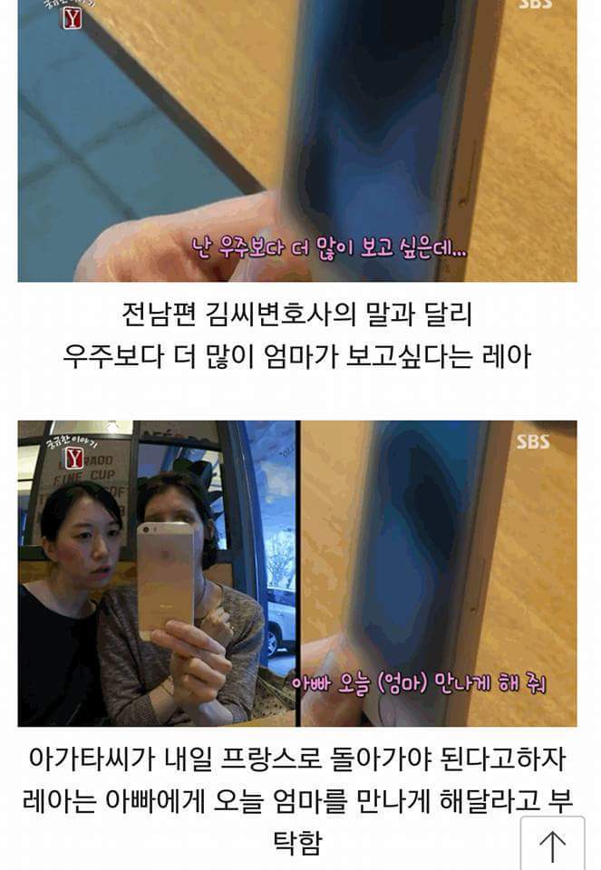 프랑스 아동 납치법으로 국제 수배 지명 상태에 놓인 김씨 (슬픔주의) | 인스티즈
