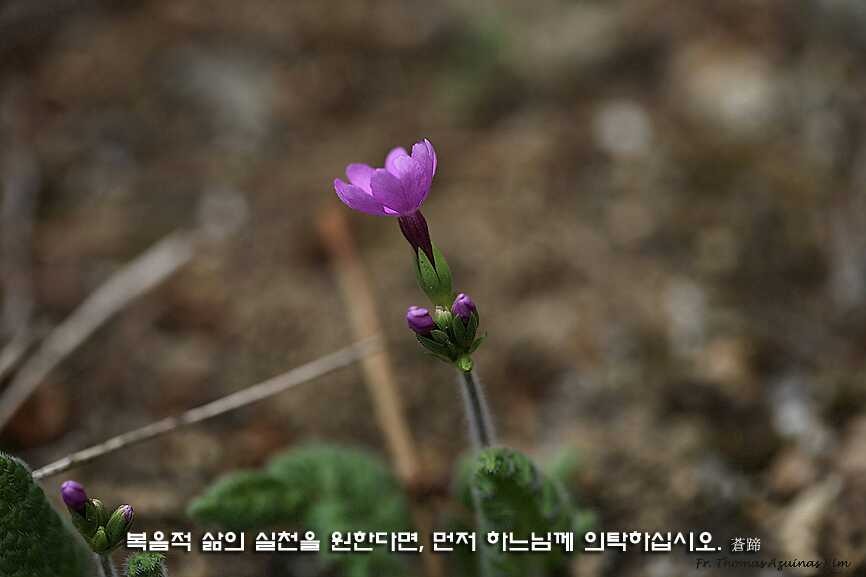 복음신발 이미지