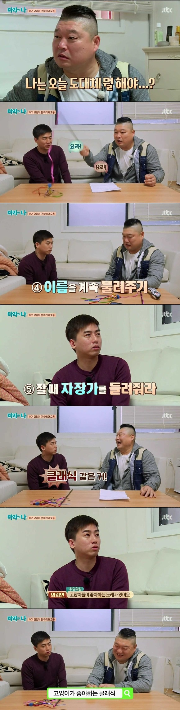 [마리와나] 케미가 냥냥 터지는 강호동과 새끼 고양이 토토.jpg | 인스티즈