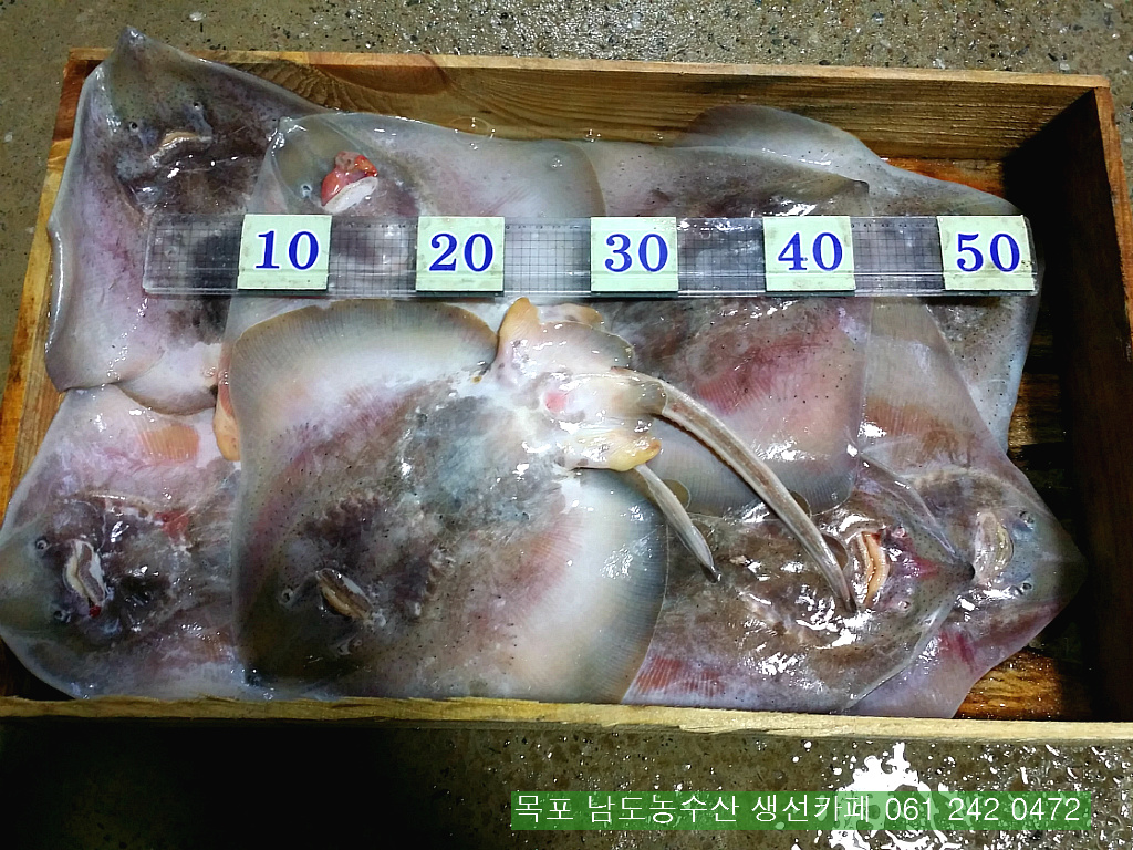 보교기획 이미지