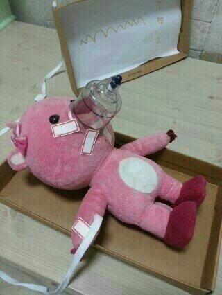 똥꼬에게 사과정도는 해라 | 인스티즈