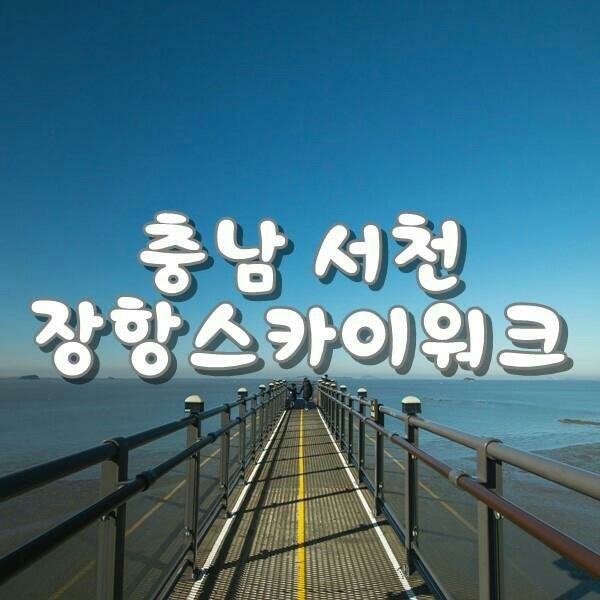 송내남부꽃 이미지