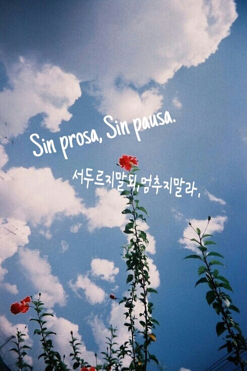 당신 생각을 켜 놓은 채 잠이 들었습니다 | 인스티즈