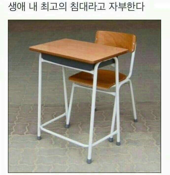 생애 내 최고의 침대 | 인스티즈