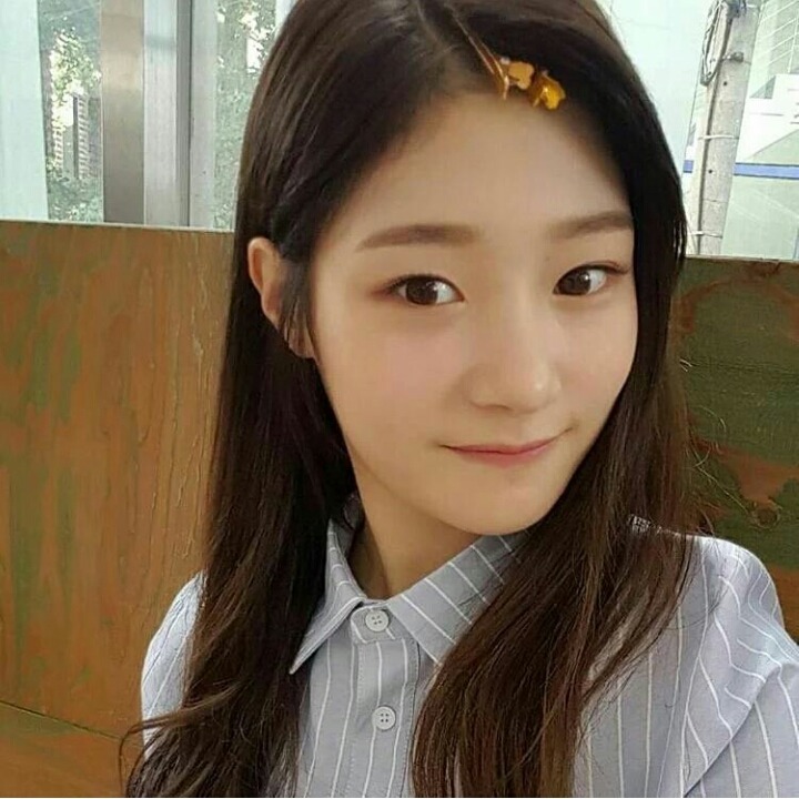 오늘자 댕채연.jpg | 인스티즈