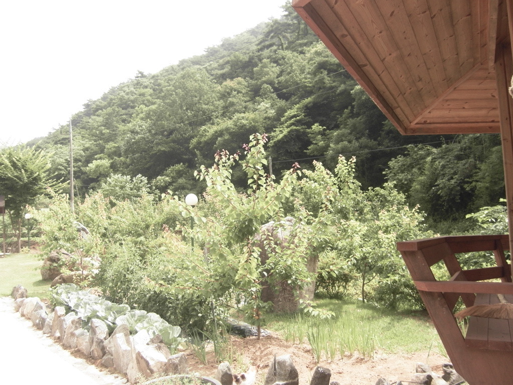 힐링충주 이미지