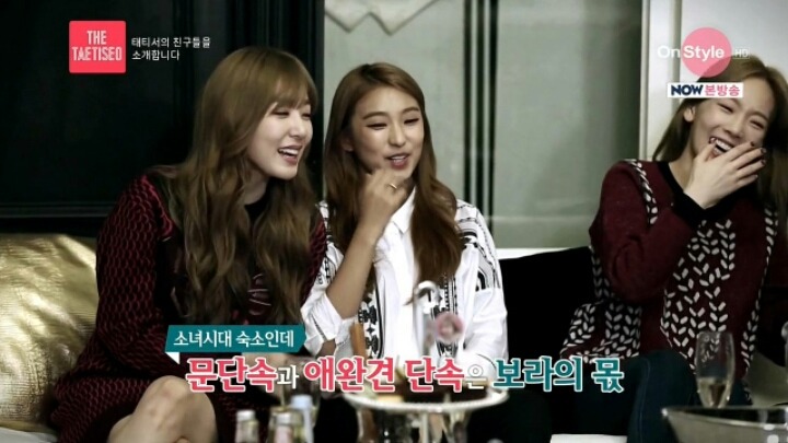소녀시대 숙소에 놀러갔었던 씨스타 보라 | 인스티즈
