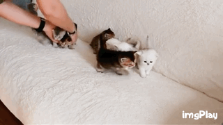 ??? : 야 사진 빨리 찍어.gif | 인스티즈