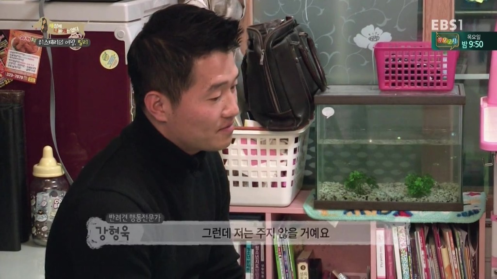 [세상에나쁜개는없다] 가족들에게 짖고 무는 강아지 릴리햏 | 인스티즈
