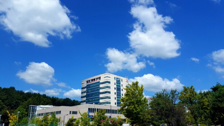 맑은 하늘사진 | 인스티즈