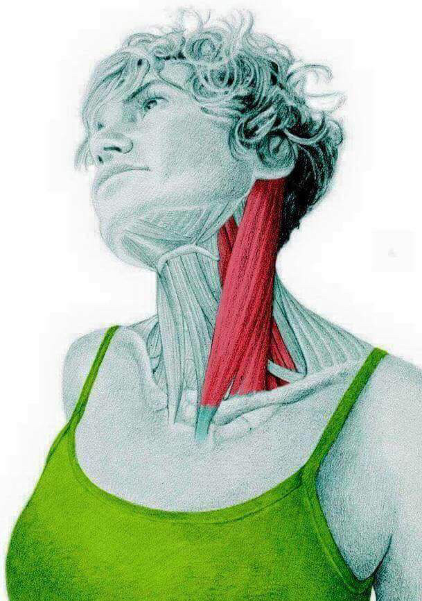 부위별 스트레칭 방법 | 인스티즈