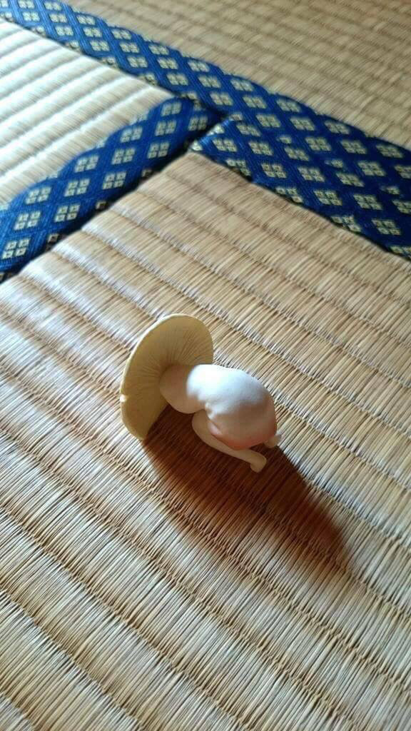 죄송합니다,,,정말 죄송합니다,, | 인스티즈