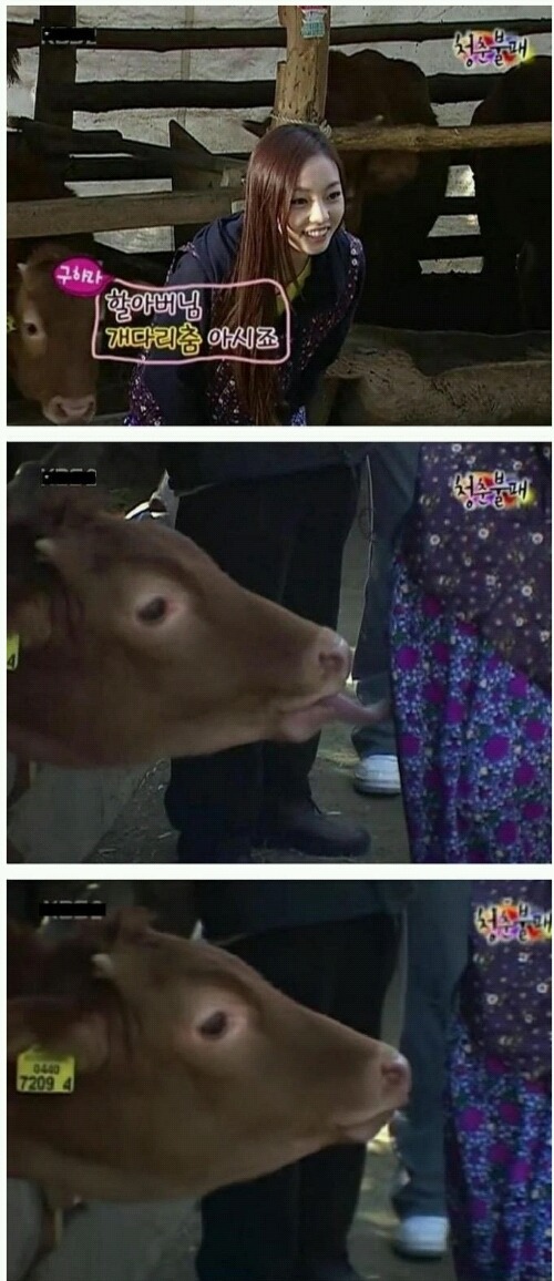 구하라 핥은 소 | 인스티즈