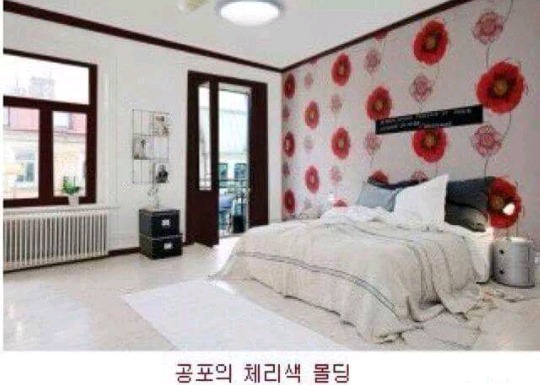 예쁜외국방에서 우리나라 인테리어로 변하는 과정 | 인스티즈
