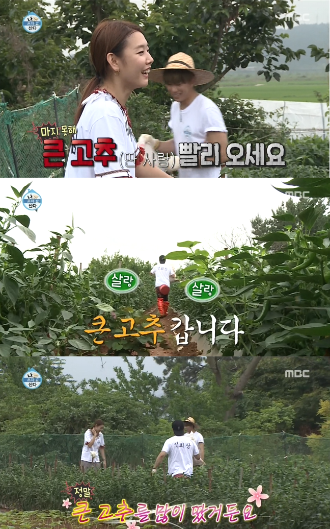 나혼자산다 고추밭의 흔한 고추부심(feat.브레드 이즈 더 베스트) | 인스티즈
