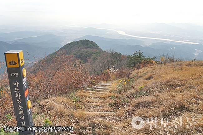아도전기 이미지