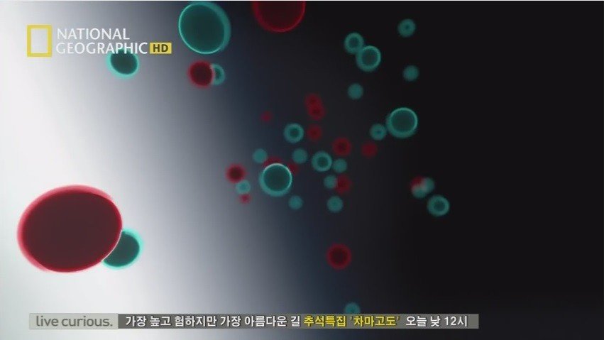 인류 재앙 시나리오 태양이 더 뜨거워진다면 마지막편.jpg | 인스티즈