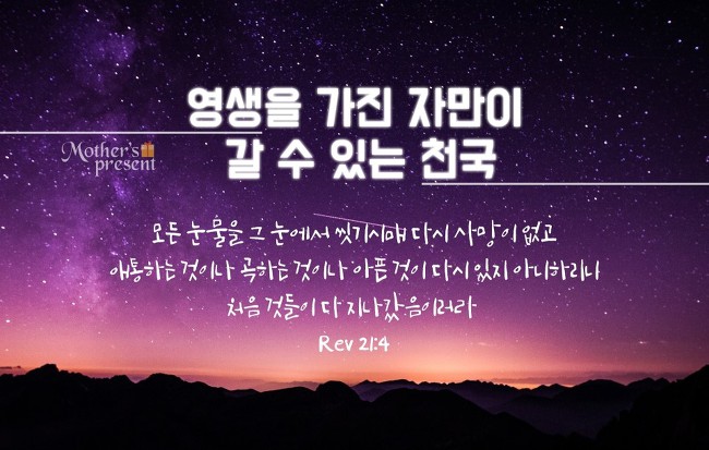 솔로몬슈퍼 이미지