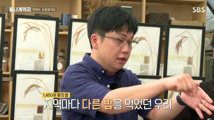 한반도의 토종 벼 품종.JPG | 인스티즈