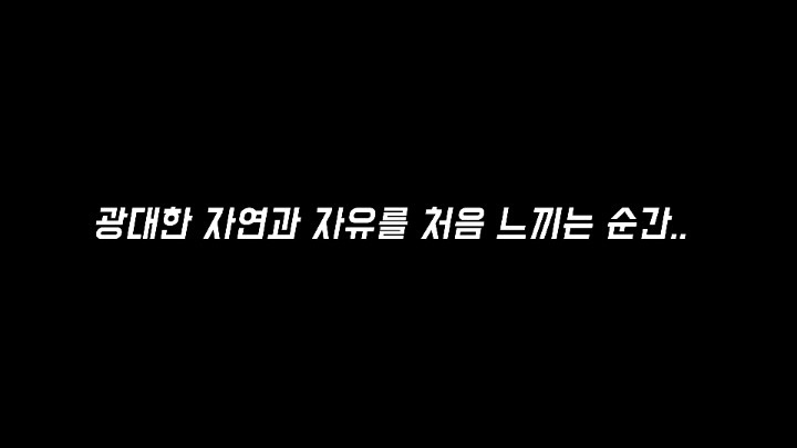 30년간 학대받은 곰 자연으로 돌아간 후 놀라운 변화 | 인스티즈