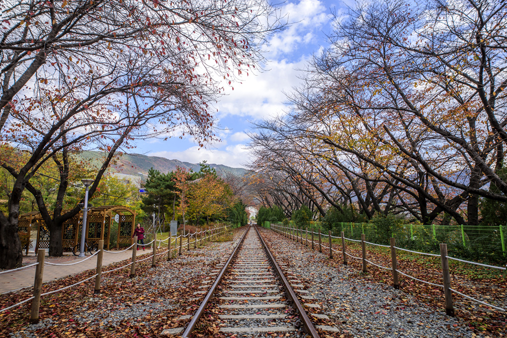 경화찻집 이미지