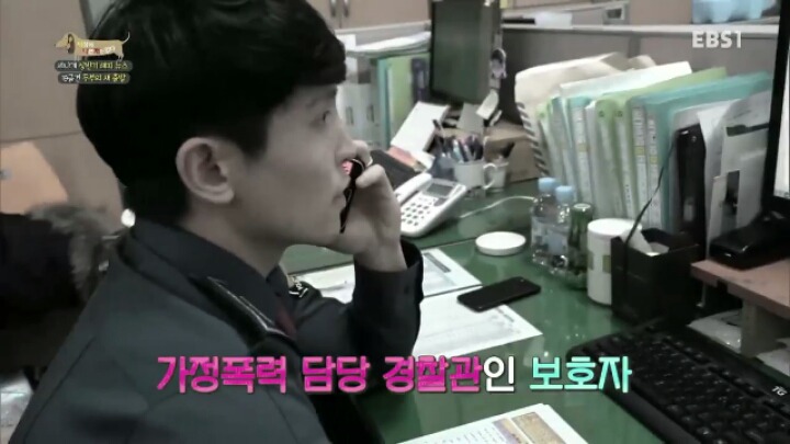 [세나개] 시도때도 없이 마운팅하고 똥을 먹는 두부의 문제 행동 고치기 -1.jpg | 인스티즈