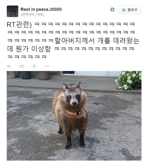 할아버지가 개를 데려왔는데 뭔가 이상하다 | 인스티즈