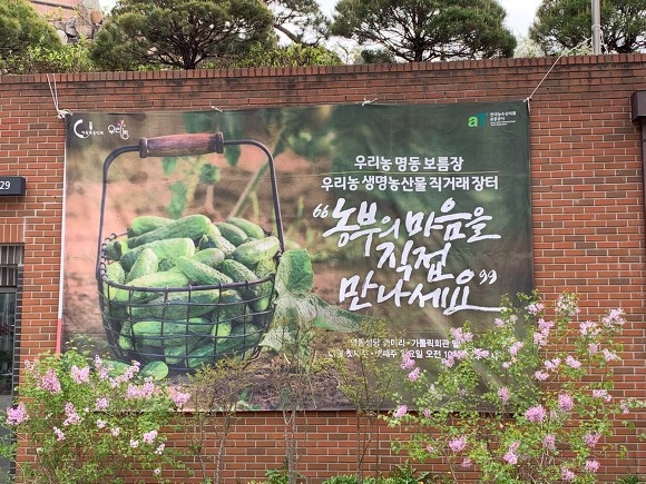 명동장 이미지