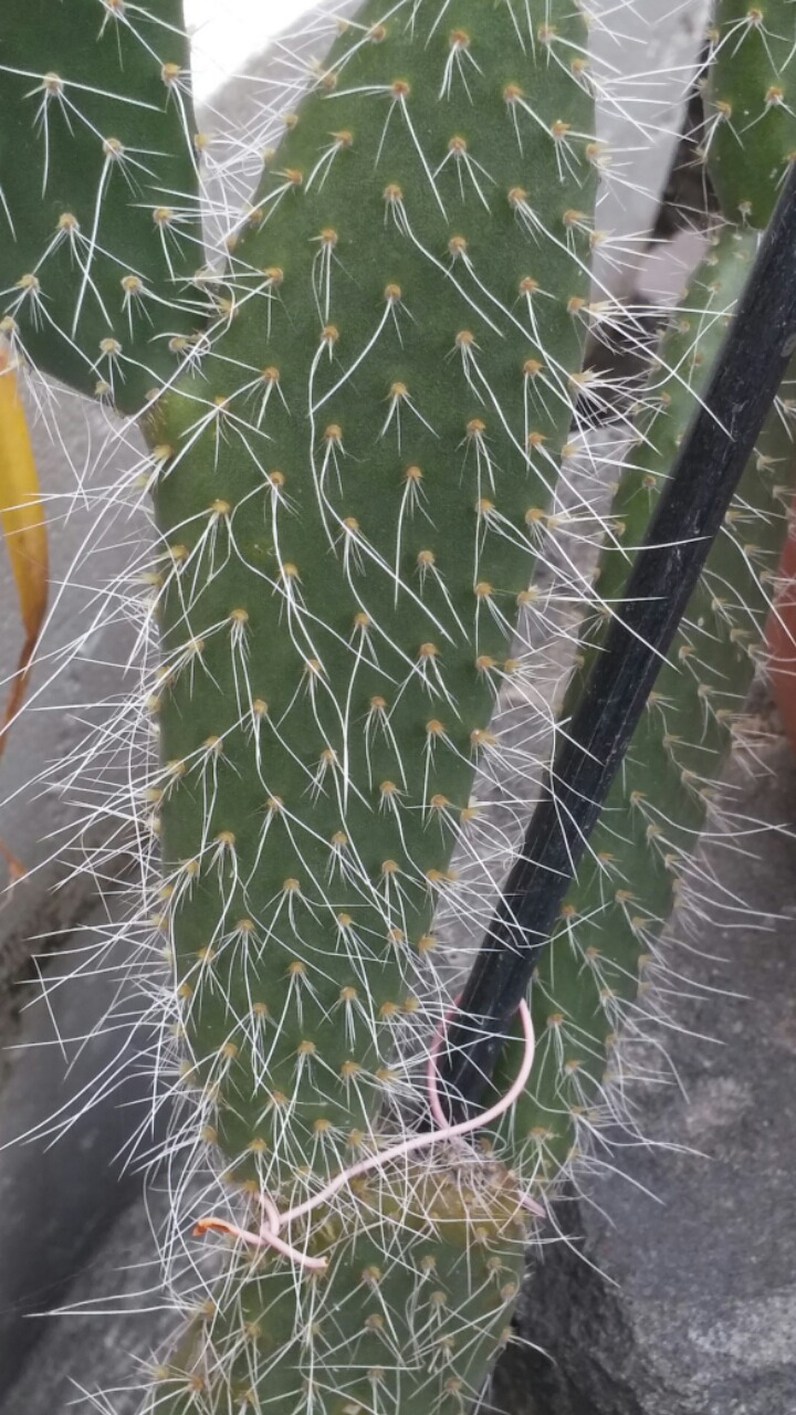 은세계 이미지